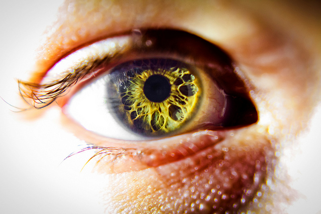 Why Adults Should Get Eye Exams